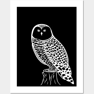 Snowy Owl - hand drawn nocturnal bird design Posters and Art